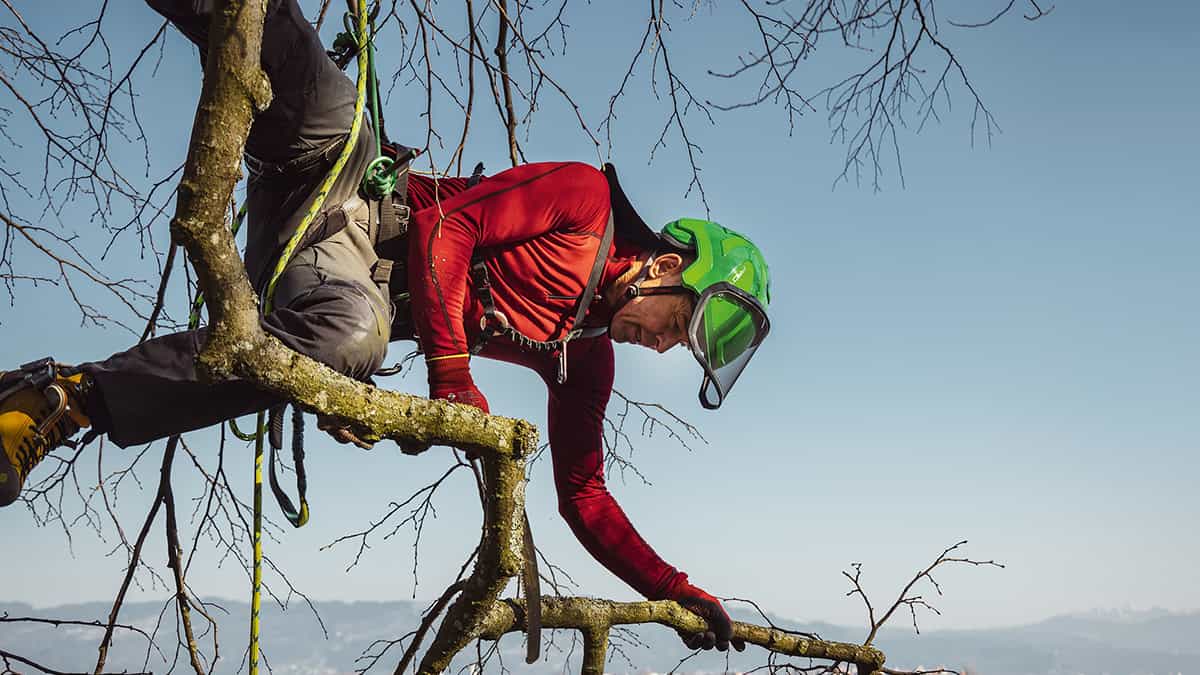 PFANNER® Zenith STX Bergschuh – optimaler Fußschutz im Forst - Bayerwald Arbeitsschutz