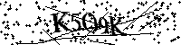 Bitte geben Sie die gezeigten Buchstaben und Zahlen ein