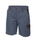 Basic Shorts