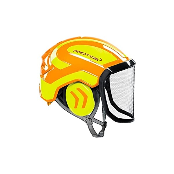 PROTOS® Integral Arborist EN12492 mit F39